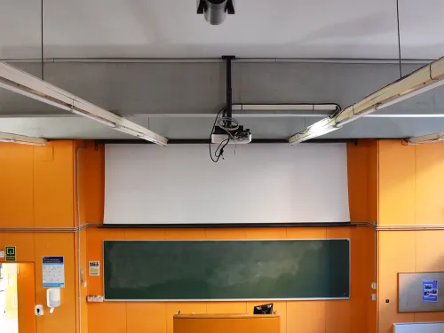 Aulari durant el confinament